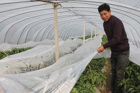 農(nóng)膜回收行動項(xiàng)目